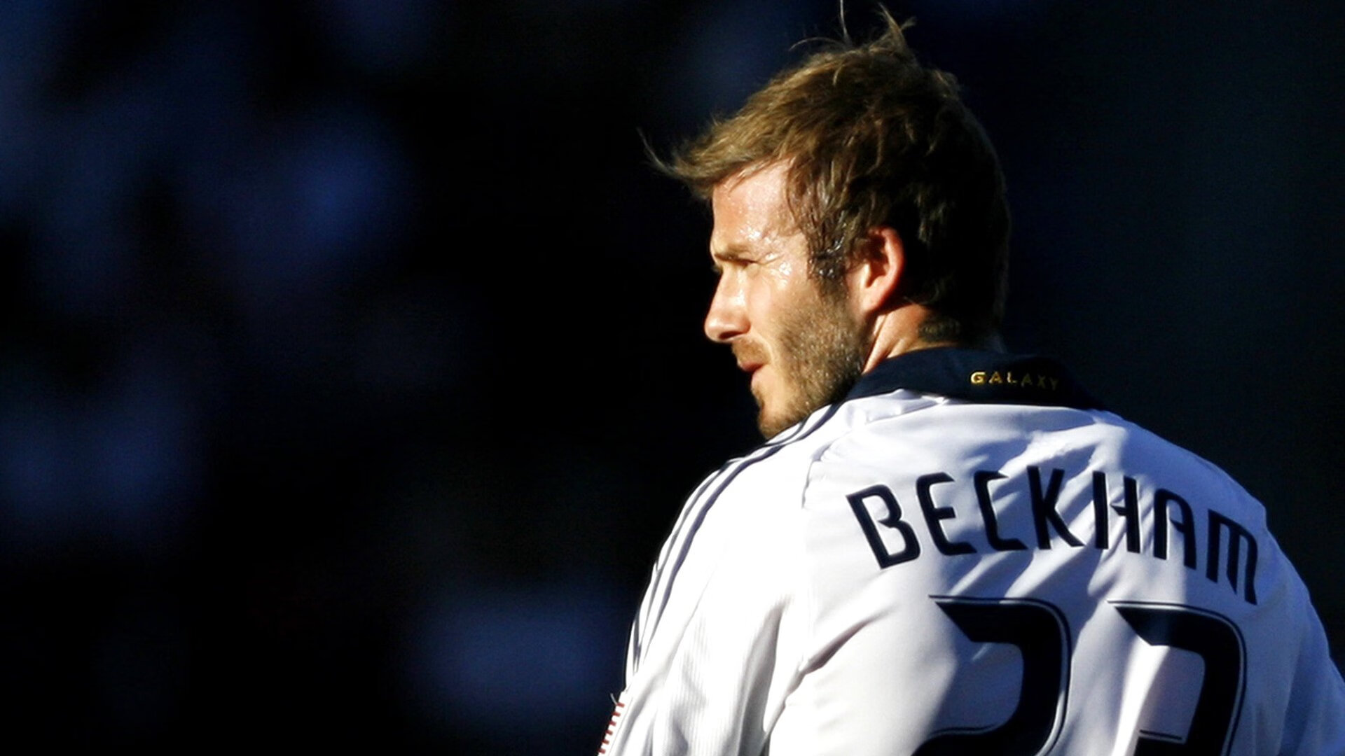 _场馆升级：更宽敞、更智能的比赛环境_，竞赛场馆运行分区有哪些