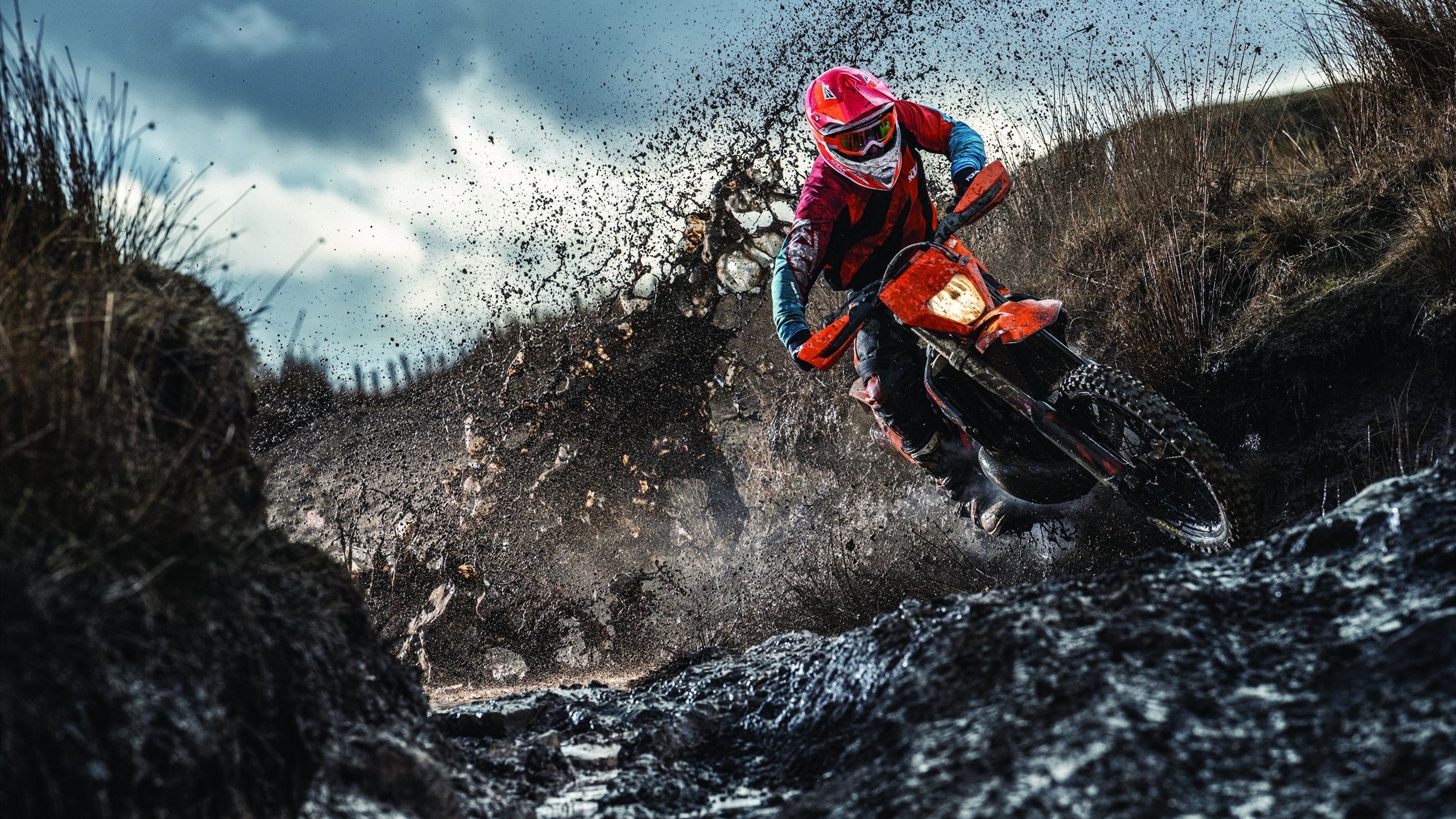 《路透社》：荷兰女足在预选赛中表现出色，从青涩菜鸟到世界亚军,飞翔的荷兰女足还有未来